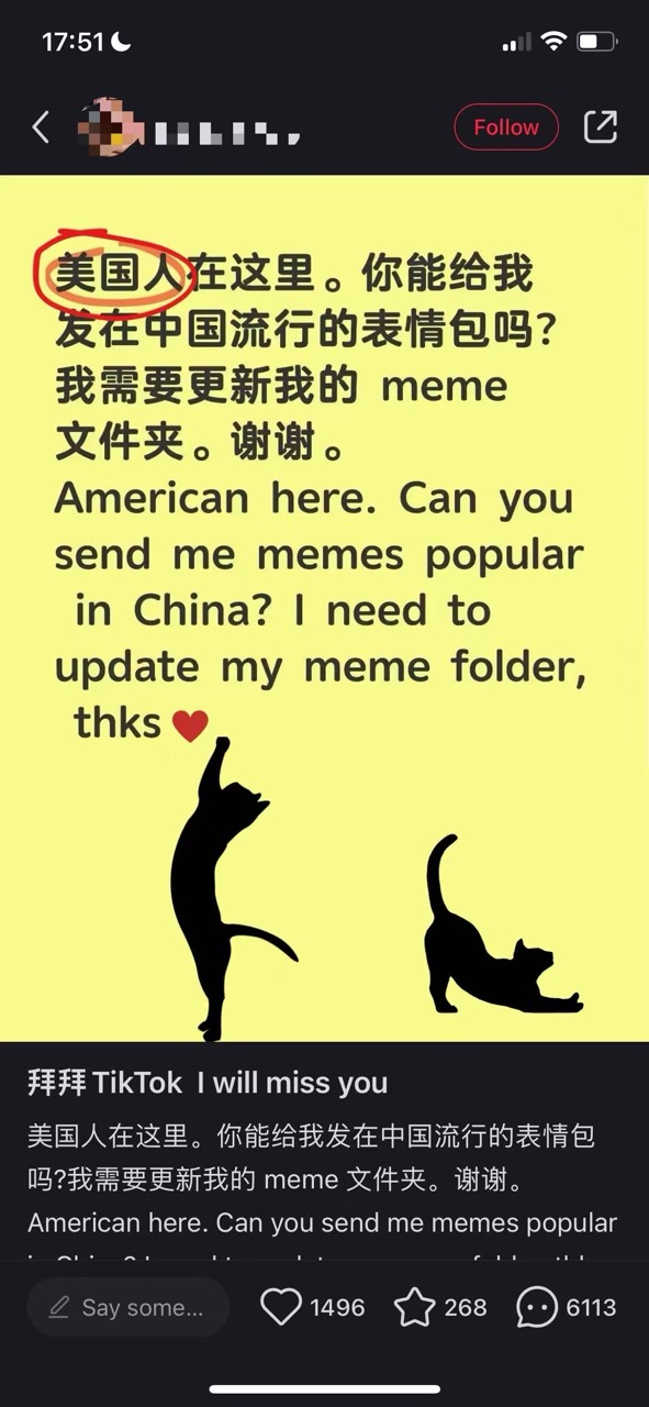 Steal Chinese memes